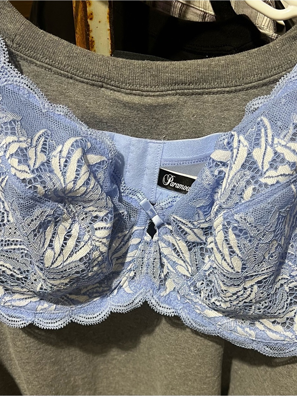 Paramour Lace Underwire Bra in Light Blue and White